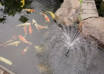 The Value of Waterfall Features in Healthy and Balanced Ponds