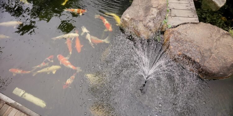 The Value of Waterfall Features in Healthy and Balanced Ponds