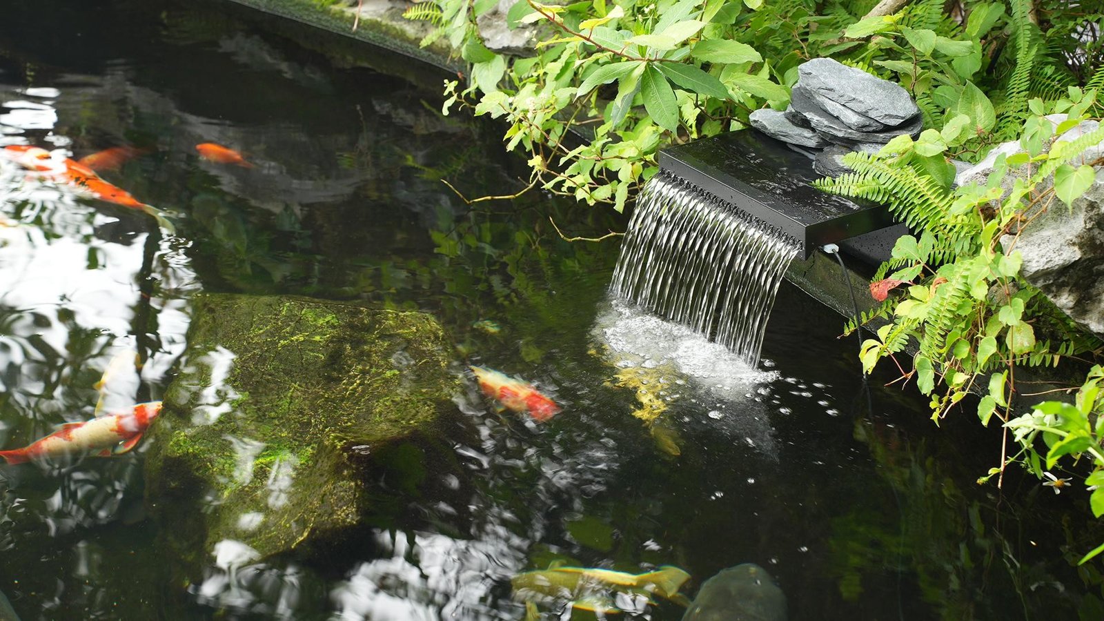 The Value of Waterfall Features in Healthy and Balanced Ponds