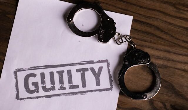 Evidence That Shapes a Defense Before the Courtroom Doors Open